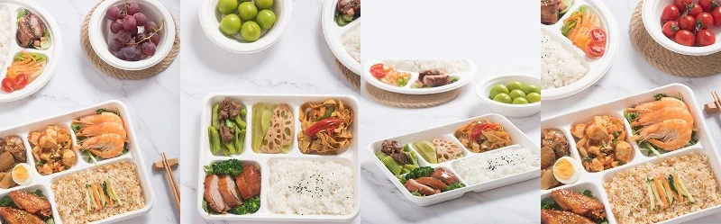 Knowledge about Sugarcane Bagasse Meal Tray Knowledge about Sugarcane Bagasse Meal Tray