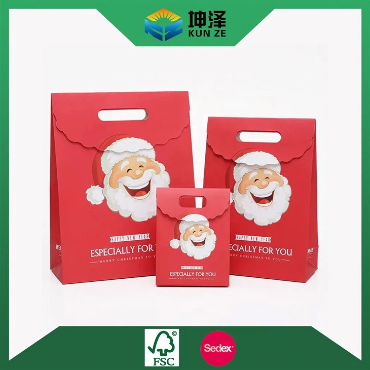 Christmas Gift Paper Bag