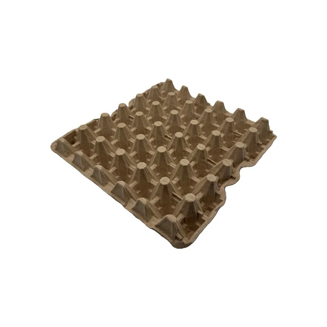 Egg Carton Tray