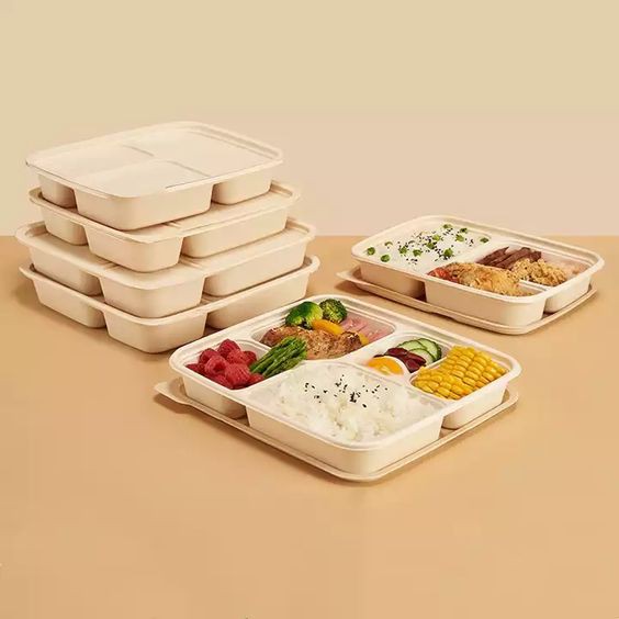 Sugarcane Bagasse Food Trays 01 Sugarcane Bagasse Food Trays 01